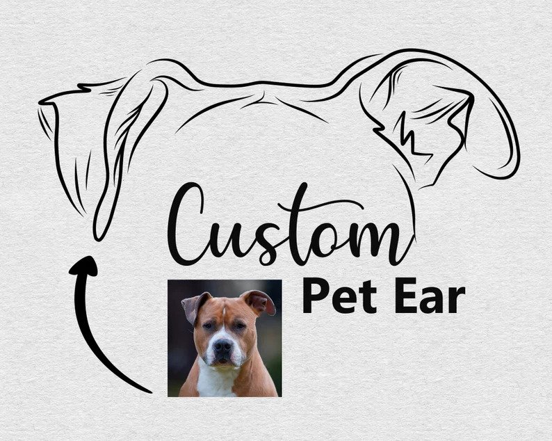 Custom Pet Ear Outline Drawing,